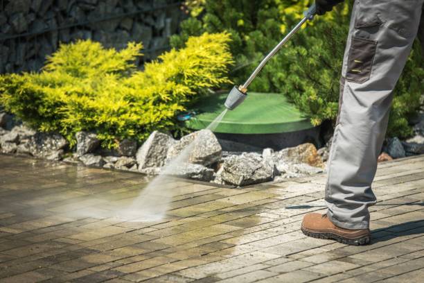 Best Solar Panel Cleaning  in Sebring, FL