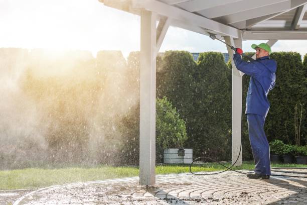 Best Patio and Deck Pressure Washing  in Sebring, FL
